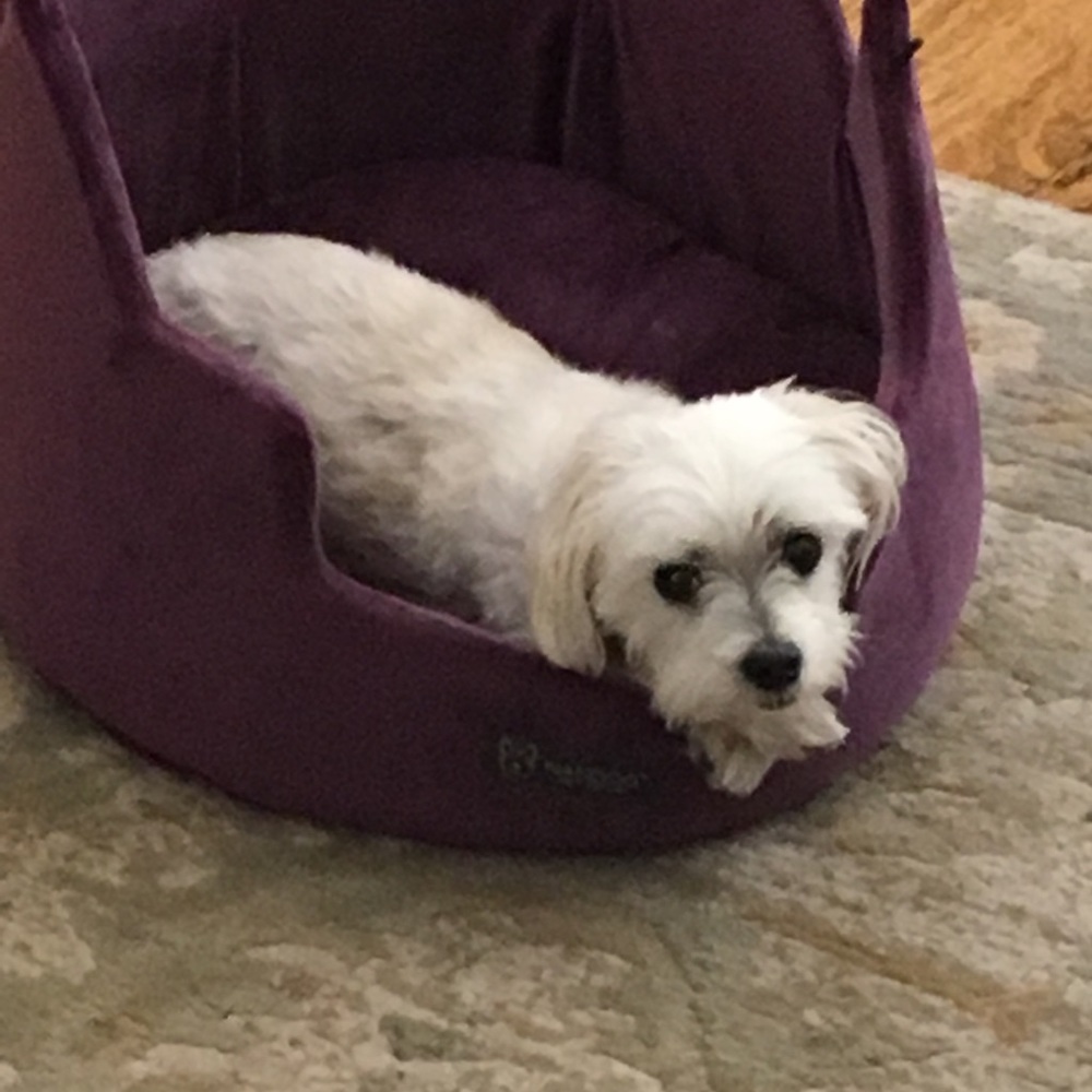 Meet your Posher, Claire